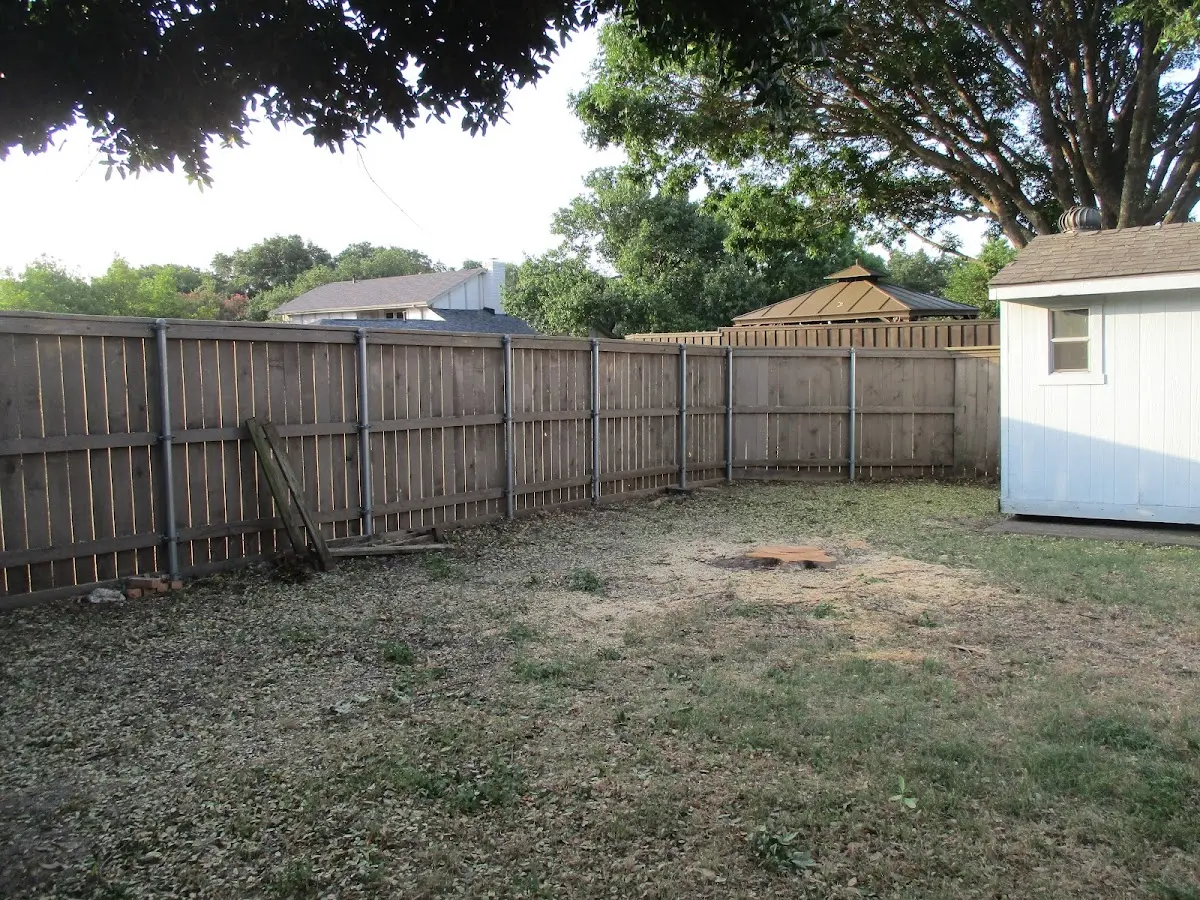 Cleared yard after professional tree removal in Cashion